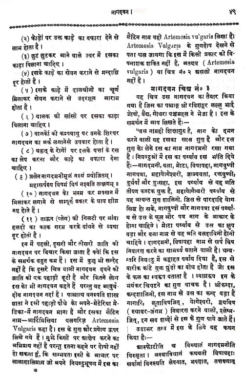Abhinava Buti Darpana 2vols.